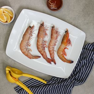 All Fresh Fish — Seafood — Saltwater Seafoods: Whole Raw Australian King Prawn (XXL) - Saltwater Seafoods NZ