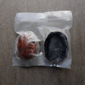 All Fresh Fish — Seafood — Saltwater Seafoods: Whole Paua (Frozen) Each - Saltwater Seafoods NZ