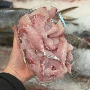 All Fresh Fish — Seafood — Saltwater Seafoods: Cat Food - Fresh Gurnard Off-Cuts - Saltwater Seafoods NZ