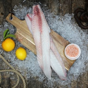 All Fresh Fish — Seafood — Saltwater Seafoods: Fresh Gemfish Fillets - Saltwater Seafoods NZ