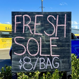 Bag of Fresh Sole 1.3KG - Saltwater Seafoods NZ