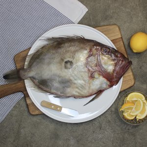 All Fresh Fish — Seafood — Saltwater Seafoods: Whole John Dory 1KG - Saltwater Seafoods NZ