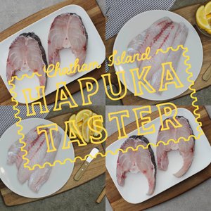 All Fresh Fish — Seafood — Saltwater Seafoods: Chatham Island Hapuka Taster - Saltwater Seafoods NZ