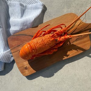 Western Australian Lobster (Cooked) - Saltwater Seafoods NZ
