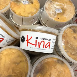 Fresh Kiwi Kwizen Kina - Saltwater Seafoods NZ