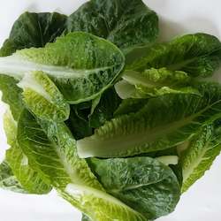 Salads: Lettuce, Cos leaves - 160g