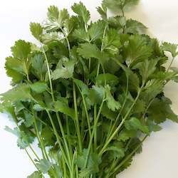 Herbs: Coriander - whole plant