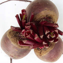 Vegetables: Beetroot, loose - 1kg
