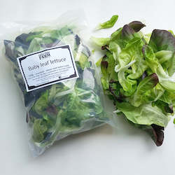 Salads: Lettuce butterhead leaves - 160g