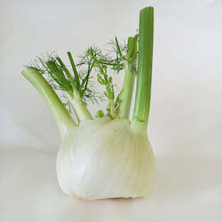 Vegetables: Fennel - 1 bulb