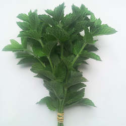 Products: Mint - bunch