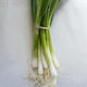 Spring Onions