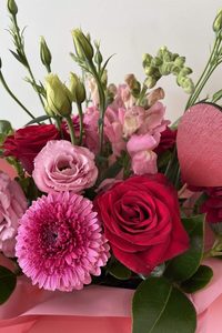 Cuddle teddy - Samantha Rose Flowers Ashburton Florist NZ