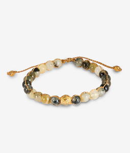 All: Prehnite 6mm Bracelet | Gold