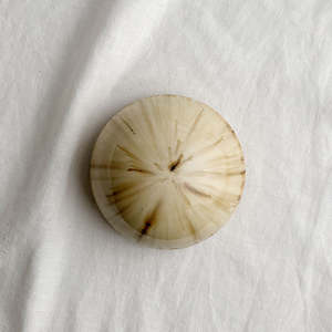 Ceramic Dome Pale Timber