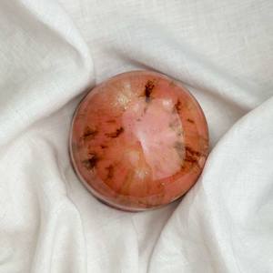 Ceramic Dome Amarylis