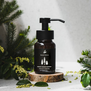 Gifts Under 30: Cedarwood + Juniper Berry Organic Foaming Handwash