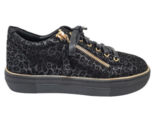 Gelato: Gelato - Zack