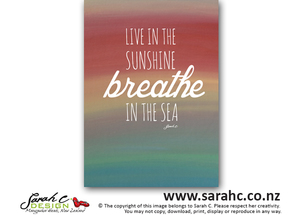 Live in the Sunshine - Sarah C