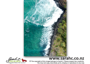Products: Cabbage Tree Coast - Sarah C