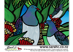 Three Kereru - Sarah C