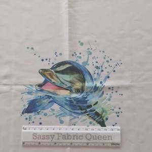 Swim: Watercolour Dolphin 50cm x 50cm panel - Swim