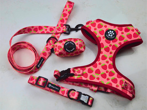 Bundle Sets: Dog Harness Bundle Set - Strawberry Field