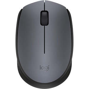 Keyboards Mice: Logitech M171 USB Portable Wireless Mouse (Grey/Black)