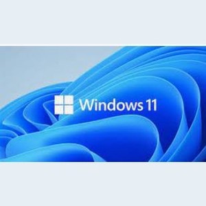 Software: Microsoft Windows 11 Professional 64bit OEM Eng Intl 1PK DSP OEI DVD (For New System Only)