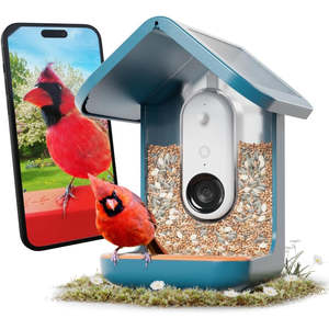 New Arrivals: Birdbuddy Pro Solar Smart Bird Feeder with Solar Powered Roof and 2K 1440p AI Camera (Blue)