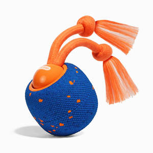 Cheerble Wicked Ball Rolly Interactive Dog Ball Smart Dog Toy (Royal Blue)