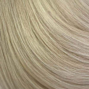 Blonde Hair Extensions: Tinkerbell