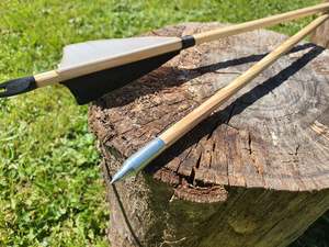 Arrows: Standard Target Arrows - Field Points