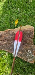 Tip dyed Parabolic arrows