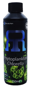 Phytoplankton Chlorella