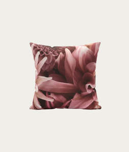 Cushion Covers: Pink Dahlias Cushion Cover