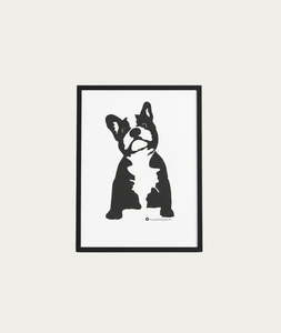Posters: Buster the Bulldog Poster - 50 x 70cm