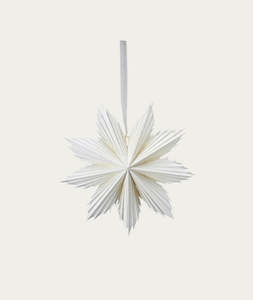 Stardust Paper Star