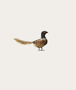 Most Popular: Pheasant