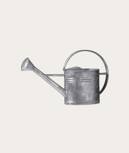 Plant Care: Lola Watering Can - Zinc