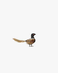 Most Popular: Pheasant