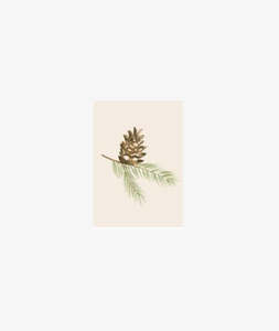 Christmas Card - Pine Cone Branch