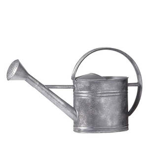 Lola Watering Can - Zinc