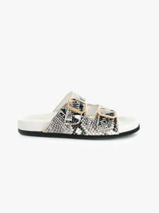 Antenora Italy: Tonic white multi