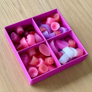 Discovery Set - Magnolia