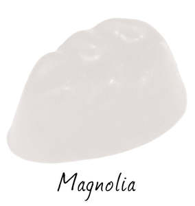 Classic Scents: Magnolia