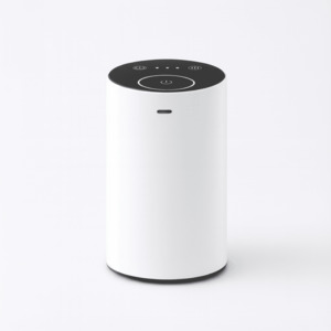 Diffusers: Blanc Mini Diffuser