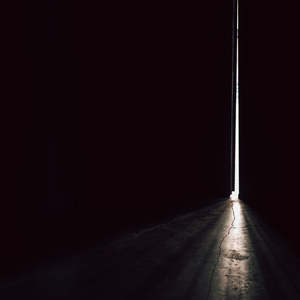 Noir Woods · A Continuance Insert