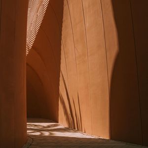 Desert Oasis · A Continuance Insert