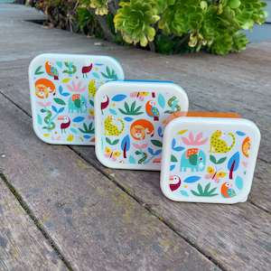 School Gear: Wild Wonders Snack Box Trio